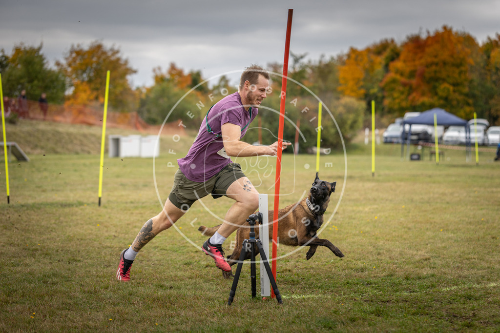 Pfotenfotografie_DV3A8090 | Hundefotografie, Tierfotograf, Pfotenfotografie, Fotoshooting Hund, Hunde Portrait, Hundesport, Hundeportraits, Heideshooting, Hunde, Sportfotograf, Hundefotograf, Turnierhundsport, THS,  - Realisiert mit Pictrs.com