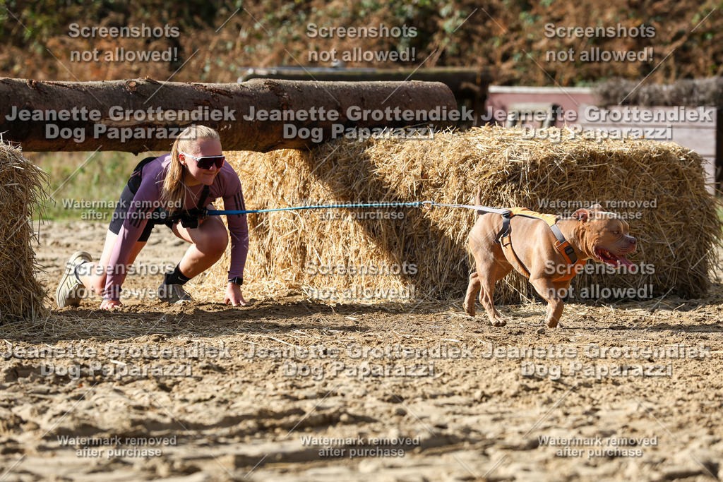 Dog Paparazzi - Strongdog 10-25-5222 | Dog Paparazzi Jeanette Grottendiek Fotografie & Videografie - Realisiert mit Pictrs.com