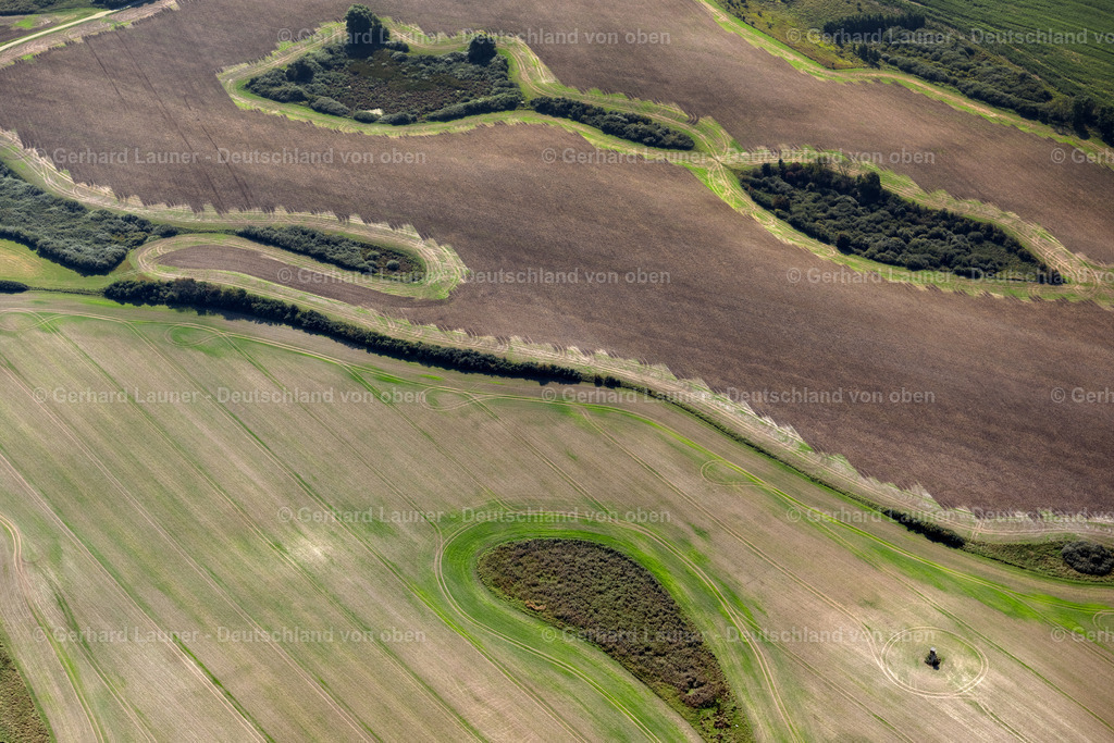 4061448 | SAGARD 08.09.2021 Acker- Rand eines Soll Biotopes auf einer Feld- Oberfläche auf Rügen in Sagard im Bundesland Mecklenburg-Vorpommern, Deutschland. // Field edge of a target biotope in the field surface on Ruegen in Sagard in the state Mecklenburg - Western Pomerania, Germany. Foto: Gerhard Launer