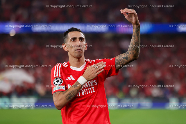 02.10.2024_ xJFAx Championsleague SL Benfica - Atl_tico Madrid_2605 Kopie | Portugal, Lisbon 2. October 2024 Uefa Champions League phase 2024/25 Matchday 2, S.L.Benfica - Atletico de Madrid v.l., Angel di Maria (S.L.Benfica) Torjubel, Goal celebration, celebrate the goal  - Realisiert mit Pictrs.com