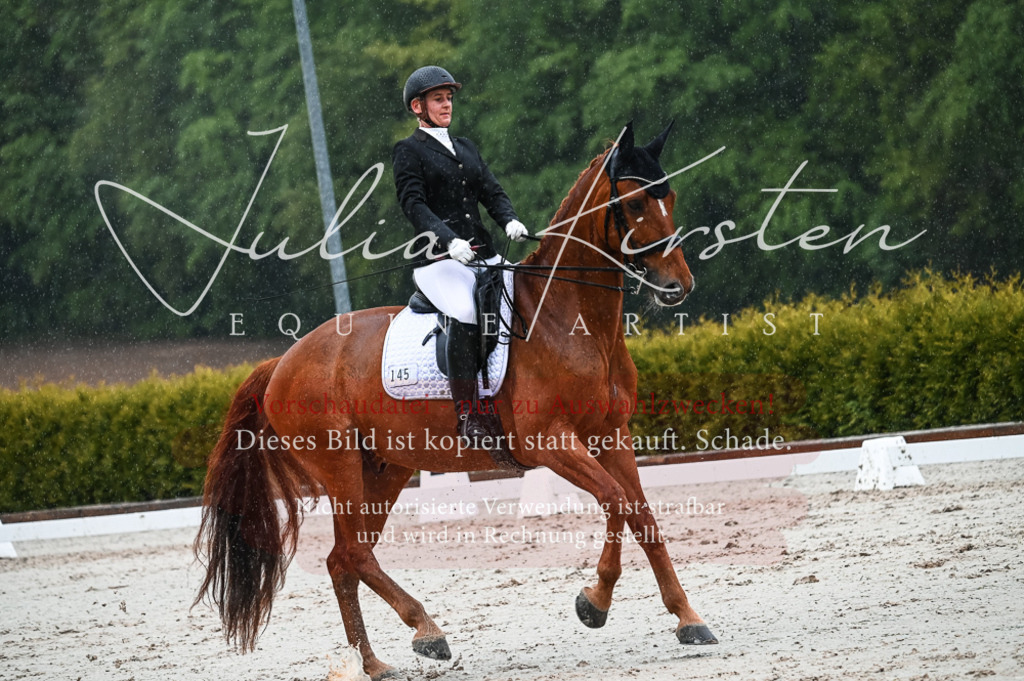 DSC_4442 | Pferde- und Turnierfotografie in Westsachsen. Pferdeportraits, Auftragszeichnungen und intuitive Kunst.