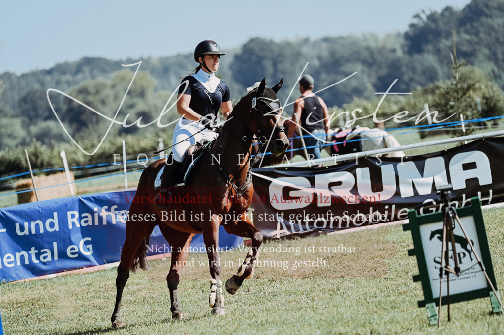 DSC_5717 | Pferde- und Turnierfotografie in Westsachsen. Pferdeportraits, Auftragszeichnungen und intuitive Kunst.