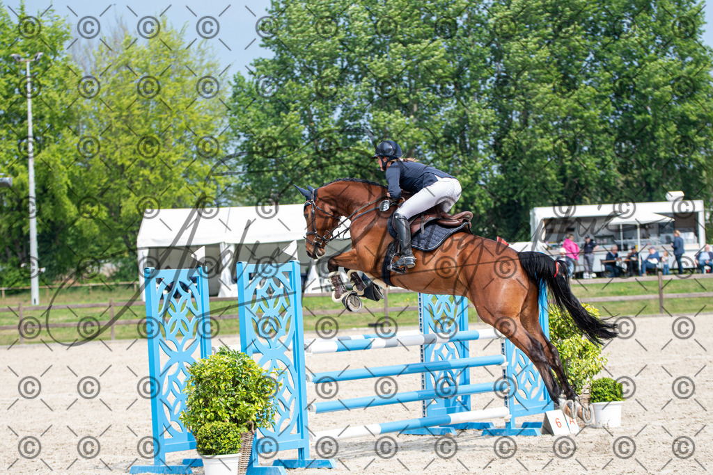 KPT_3339 | andre_photographic