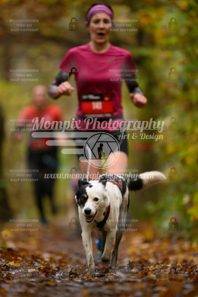 MompixPhotography_CD7S_DI_CCL-134 | mompixphotography