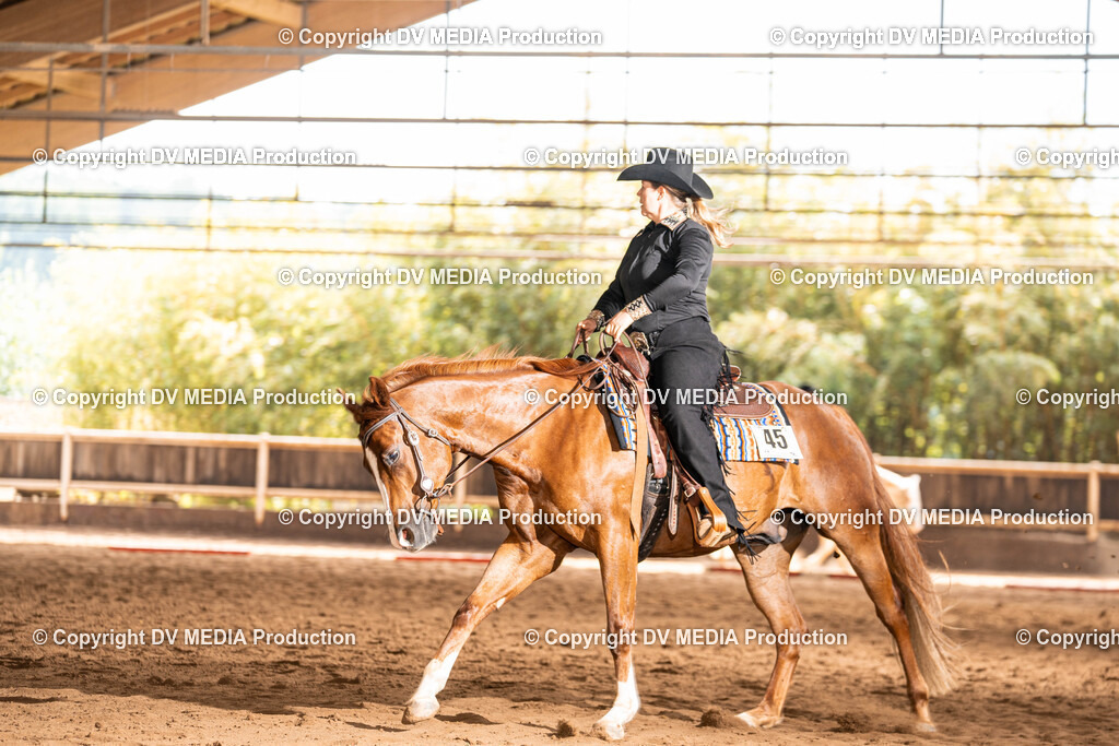 Erbach Tag 1-293 | dv-media-shop - Realisiert mit Pictrs.com