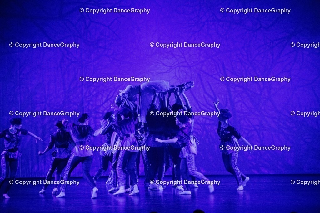 GPHY1689 | DanceGraphy - Realisiert mit Pictrs.com