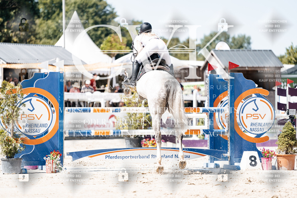 CK909599 | Turnierfotografie Pferdefotografie Trier Rheinland-Pfalz Pferdesport Reitsport Tierfotografie Sportfotografie Pferdevideo Pferdevideografie Equestrianvideography equestrianphotography  - Realisiert mit Pictrs.com
