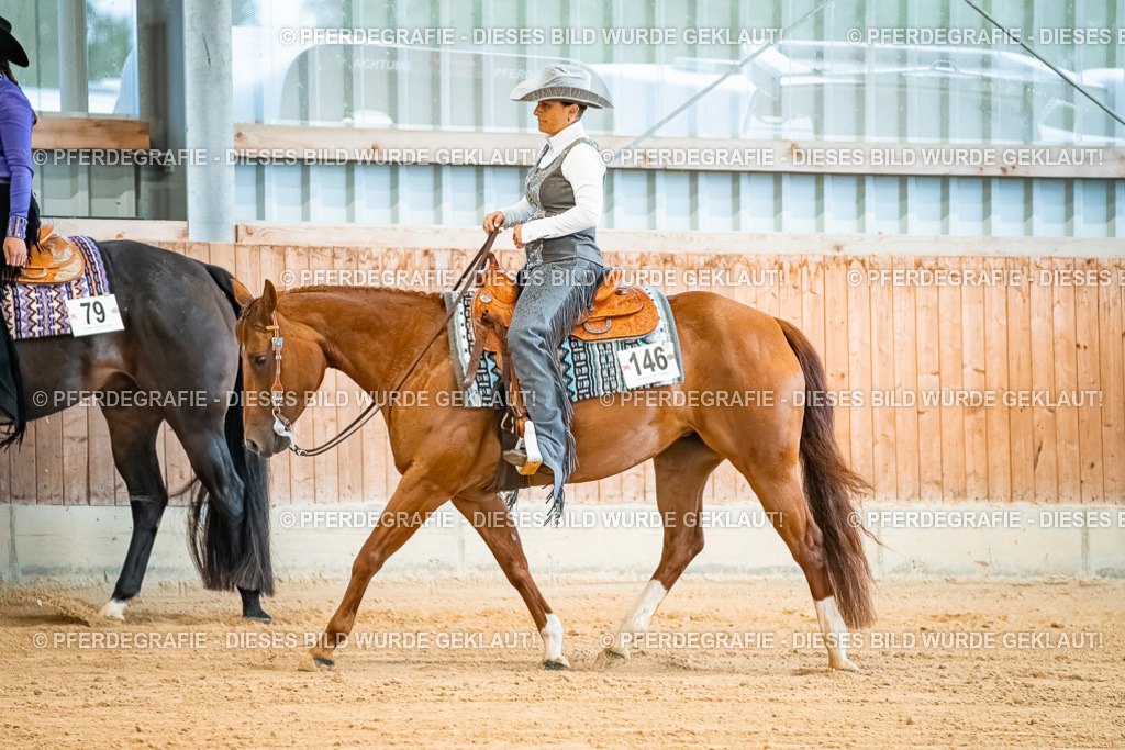 DSC09931 | Pferdegrafie