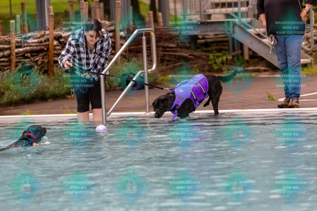 _HP_6137_1000o | HetPix, HetPix Fotodesign, Fotografie, Fotodesign, Webshop, Sportfotografie, Portraitfotografie, Onlineshop, Sportfotografie, Polch, Motorsportfotografie, Eventfotografie