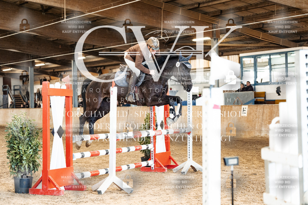 CK905331 | Turnierfotografie Pferdefotografie Trier Rheinland-Pfalz Pferdesport Reitsport Tierfotografie Sportfotografie Pferdevideo Pferdevideografie Equestrianvideography equestrianphotography  - Realized with Pictrs.com