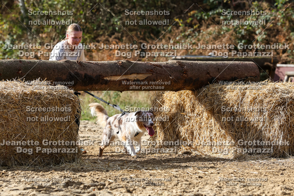 Dog Paparazzi - Strongdog 10-25-5338 | Dog Paparazzi Jeanette Grottendiek Fotografie & Videografie - Realisiert mit Pictrs.com