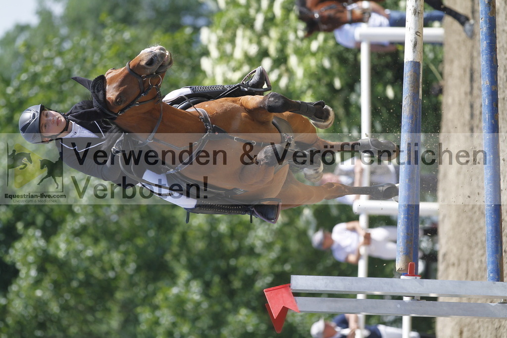 _MG_1626 | equestrian-live-com