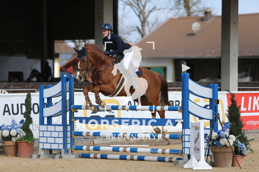 DL2Q8742 | Willkommen bei Brunnmayr - Design & Fotografie – Ihrem Spezialisten für Reitturniere und Pferdeveranstaltungen in Oberösterreich, Salzburg und Bayern! Seit über 17 Jahren sind wir leidenschaftlich dabei.