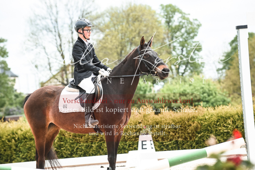 20230518_JK-Röhrsdorf-10-601 | Pferde- und Turnierfotografie in Westsachsen. Pferdeportraits, Auftragszeichnungen und intuitive Kunst.