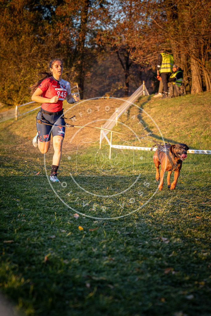 CaniXpix_0L8A1955 | Hundefotografie, Tierfotograf, Pfotenfotografie, Fotoshooting Hund, Hunde Portrait, Hundesport, Hundeportraits, Heideshooting, Hunde, Sportfotograf, Hundefotograf, Turnierhundsport, THS,  - Realisiert mit Pictrs.com