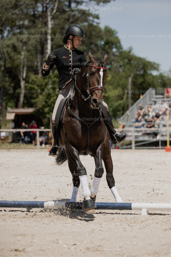 WE_SP_Stoib_330_PI2025_1980 | Pferd International München 2025