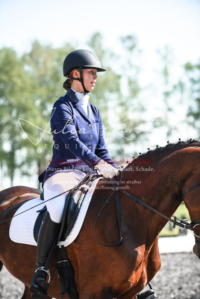 DSC_8779 | Pferde- und Turnierfotografie in Westsachsen. Pferdeportraits, Auftragszeichnungen und intuitive Kunst.