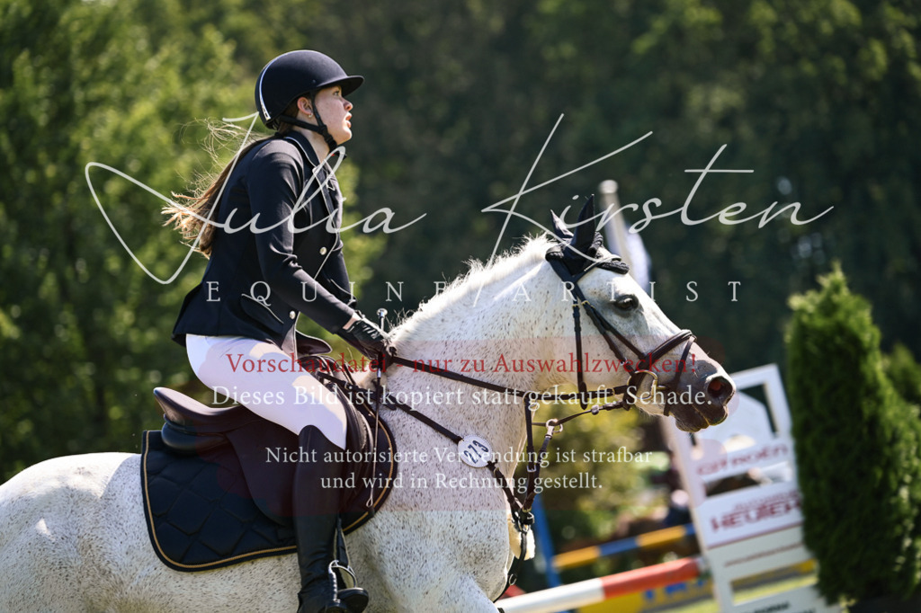 DSC_8740 | Pferde- und Turnierfotografie in Westsachsen. Pferdeportraits, Auftragszeichnungen und intuitive Kunst.