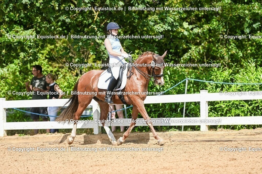 20230716_01_Dressurprüfung Kl.M_0239 | equistock