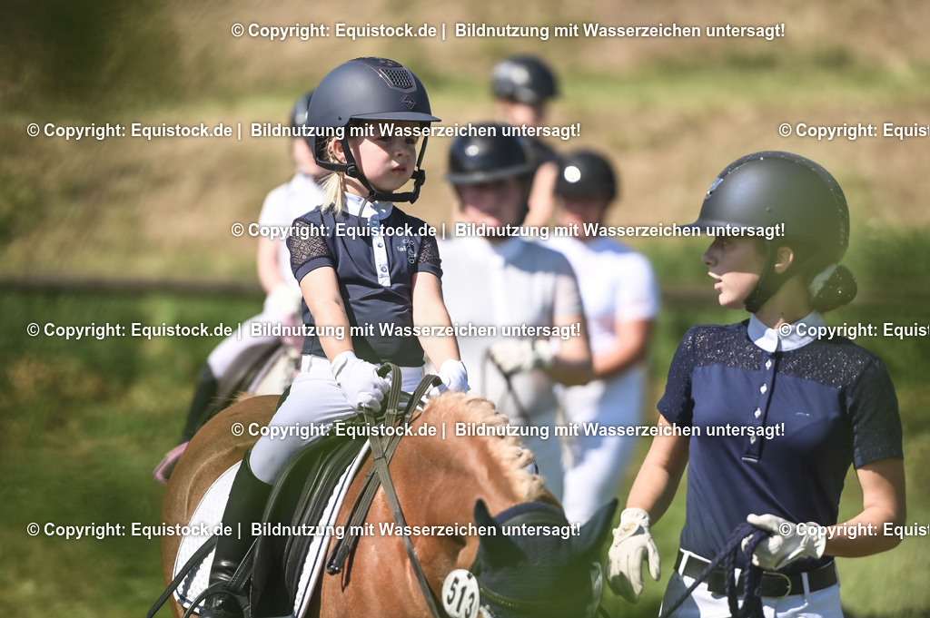 20230910_11-5_Führzügel-WB_0007 | Foto: Thomas Hartig