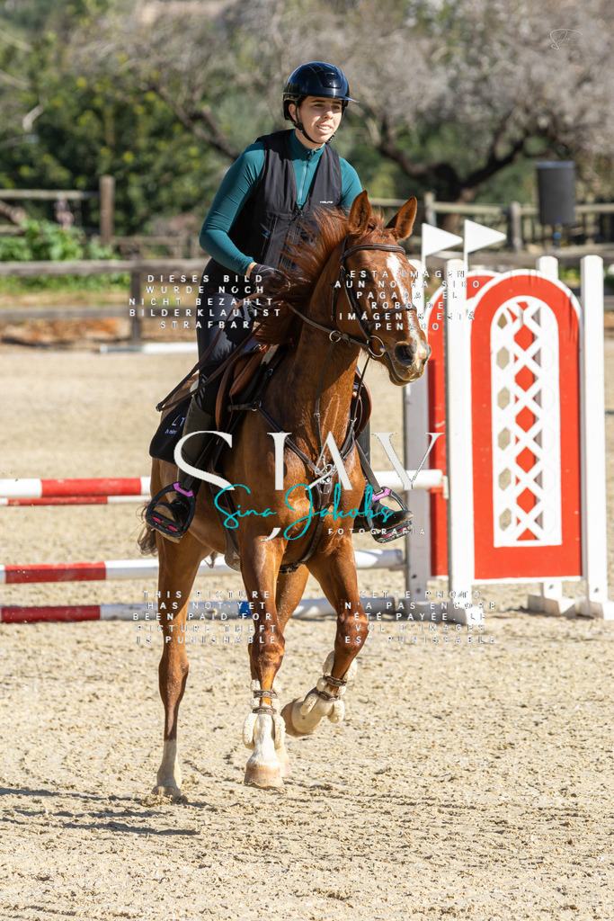 IMG_3643 | s-jay-photography - Realisiert mit Pictrs.com