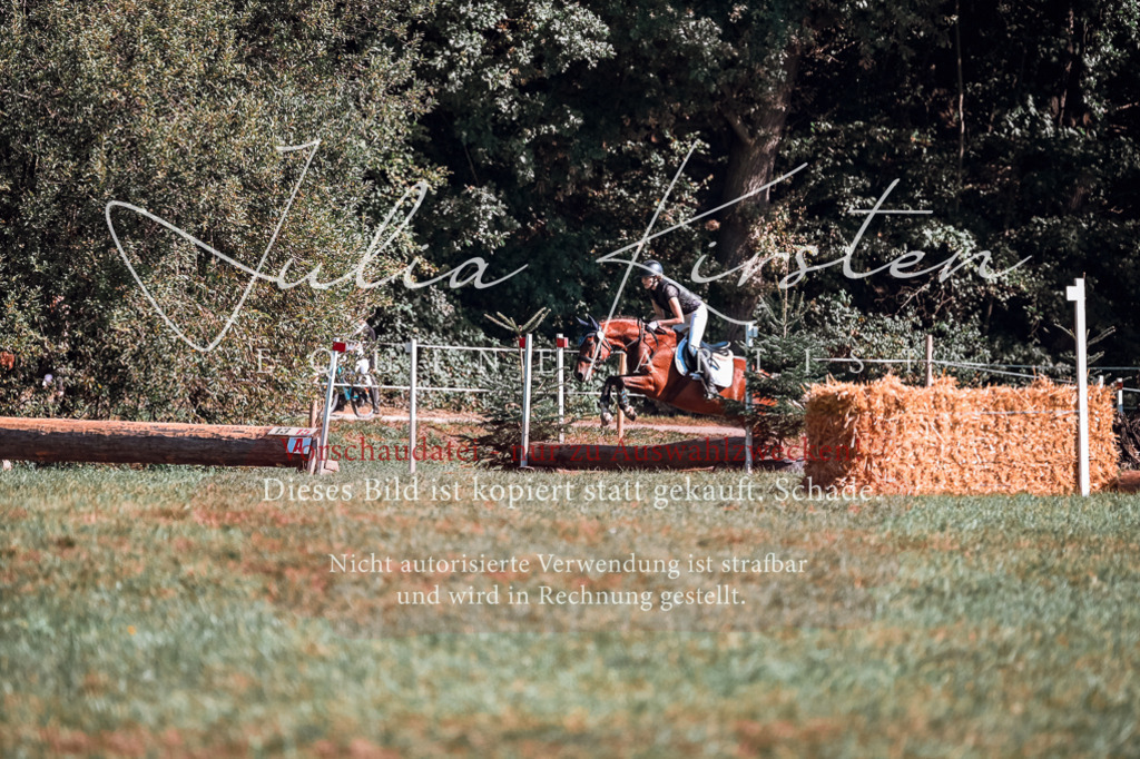 DSC_0939 | Pferde- und Turnierfotografie in Westsachsen. Pferdeportraits, Auftragszeichnungen und intuitive Kunst.