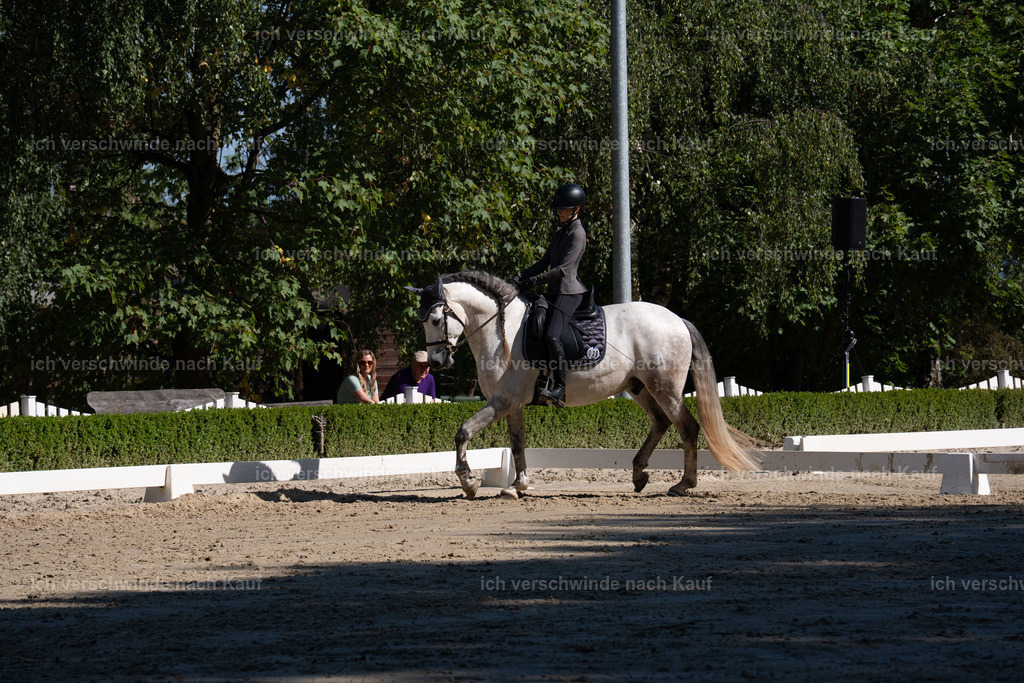 WA_DR_39_SinaFilmArt_IN01337 | working equitationturnier fotograf videograf stoibphotography marixx film working equitation deutschland reitsport turnierfotografie eventfotografie equestrian events