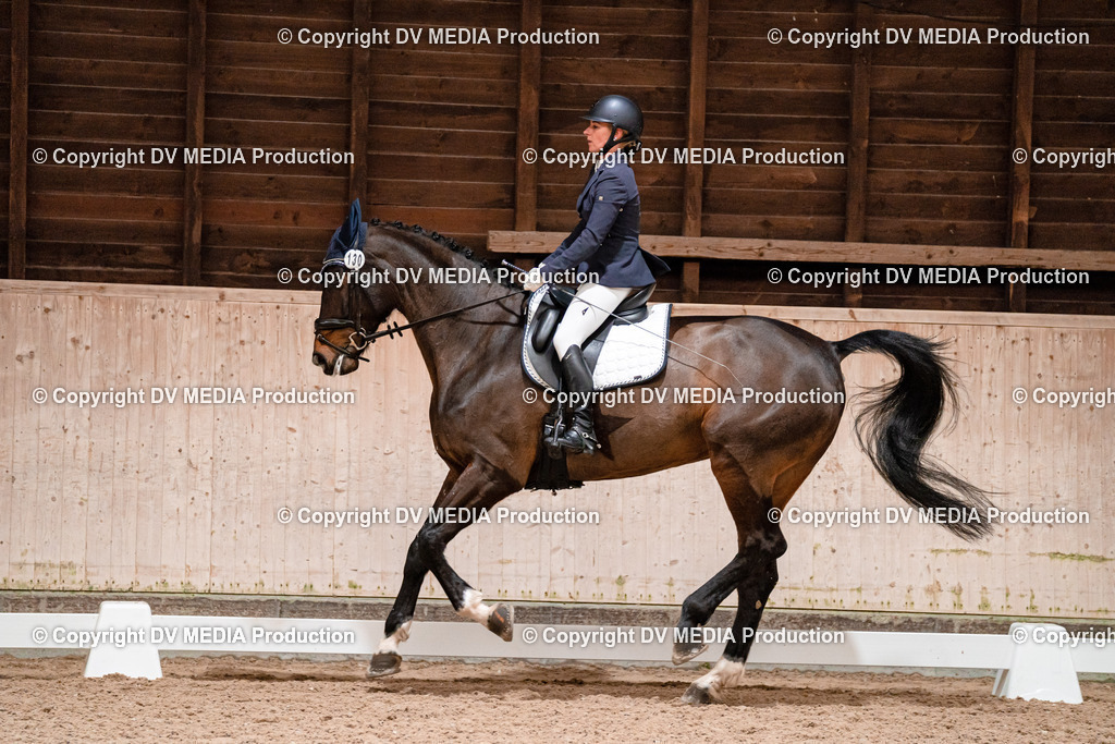 Dressur Tag 3-028 | dv-media-shop - Realisiert mit Pictrs.com