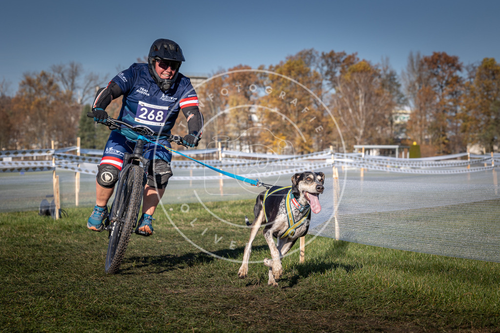 CaniXpix_0L8A5111 | Hundefotografie, Tierfotograf, Pfotenfotografie, Fotoshooting Hund, Hunde Portrait, Hundesport, Hundeportraits, Heideshooting, Hunde, Sportfotograf, Hundefotograf, Turnierhundsport, THS,  - Realisiert mit Pictrs.com