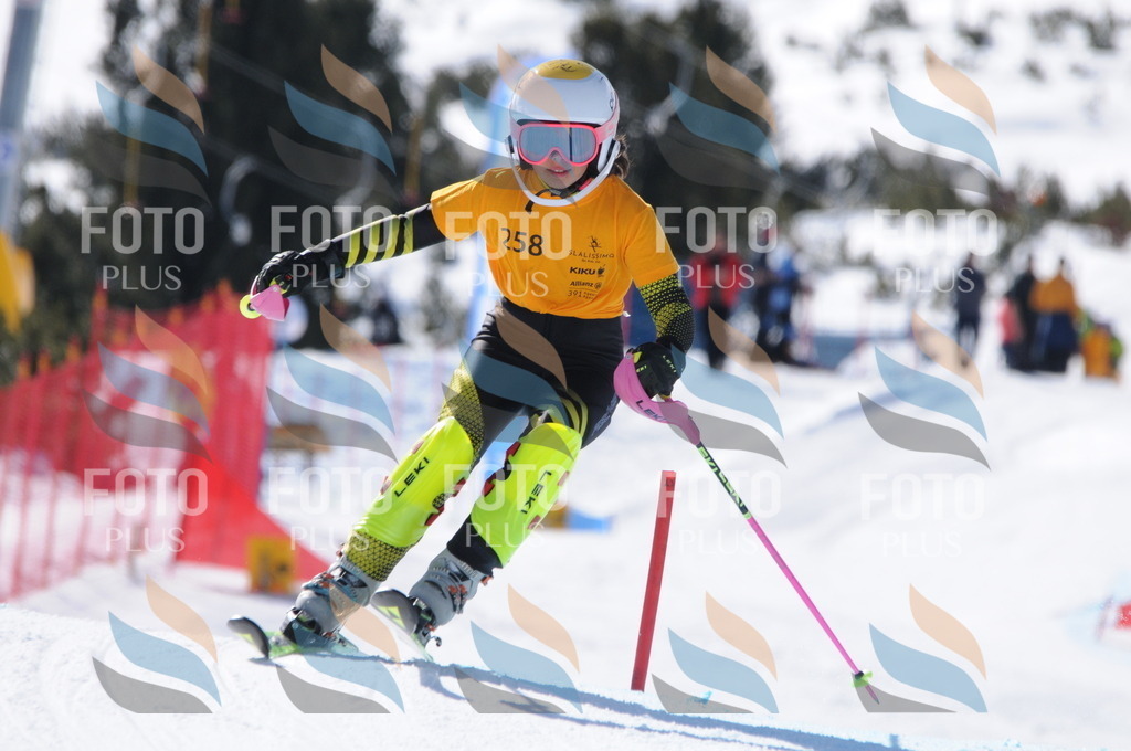 C8893 | holidayphoto