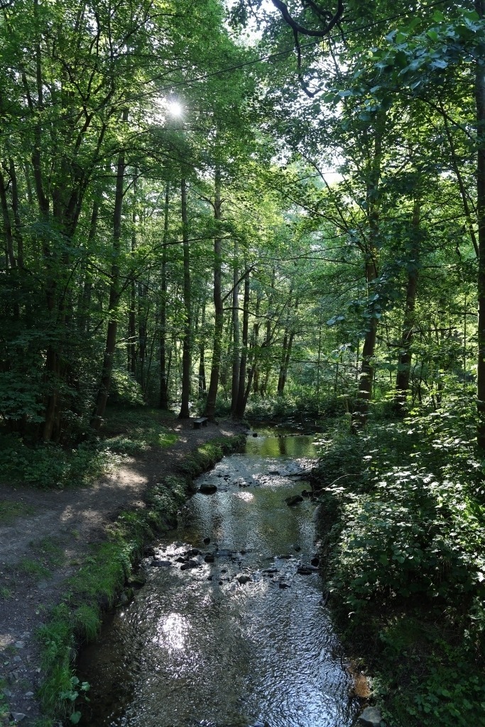 Raudabach im Eisenberger Mühltal | Das Foto zeigt den schattigen Lauf des Raudabachs im Eisenberger Mühltal an einem heißen Sommertag. Das klare Wasser plätschert über Steine und Wurzeln durch das dicht bewachsene Bachbett. Alte Bäume spenden mit ihrem üppigen Blätterdach angenehmen Schatten und halten die unmittelbare Umgebung wohltuend kühl. Das satte Grün der Vegetation steht in schönem Kontrast zum glitzernden Wasser. Zwischen Farnen, Moosen und Uferpflanzen entsteht eine naturnahe, ruhige Atmosphäre. Gerade an heißen Sommertagen vermittelt der Bachlauf den Eindruck einer erfrischenden Oase. Die Aufnahme macht die besondere Schönheit des Eisenberger Mühltals deutlich. Das leise Rauschen des Wassers, die kühle Luft im Schatten und die üppige Natur laden zum Verweilen ein und bieten eine willkommene Erfrischung während einer Wanderung. - Realisiert mit Pictrs.com