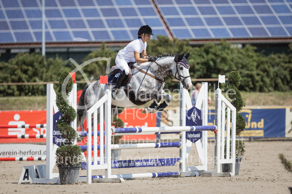 230625_PfSpTa_A1-Stil-328 | Deine schönsten Turniermomente als professionelle Fotos! Entdecke hochwertige Pferdesport-Fotografie im Online-Shop. Jetzt Fotos finden & bestellen!