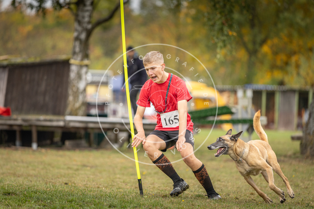 Pfotenfotografie_DV3A5048 | Hundefotografie, Tierfotograf, Pfotenfotografie, Fotoshooting Hund, Hunde Portrait, Hundesport, Hundeportraits, Heideshooting, Hunde, Sportfotograf, Hundefotograf, Turnierhundsport, THS,  - Realisiert mit Pictrs.com