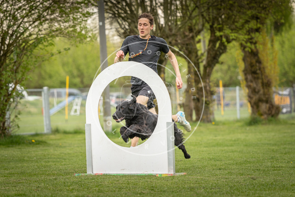 Pfotenfotografie_DV3A1260 | Hundefotografie, Tierfotograf, Pfotenfotografie, Fotoshooting Hund, Hunde Portrait, Hundesport, Hundeportraits, Heideshooting, Hunde, Sportfotograf, Hundefotograf, Turnierhundsport, THS,  - Realisiert mit Pictrs.com