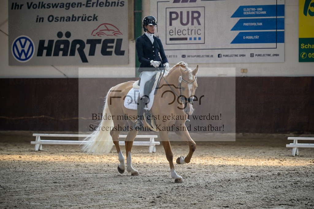 Reitturnier Voxtrup | Entdecke hochwertige Reitturnierfotos von Foto Oger. Professionell, emotional und authentisch – jetzt Lieblingsmomente im Shop bestellen.Deutschlandweite Turnierfotografie. - Realisiert mit Pictrs.com