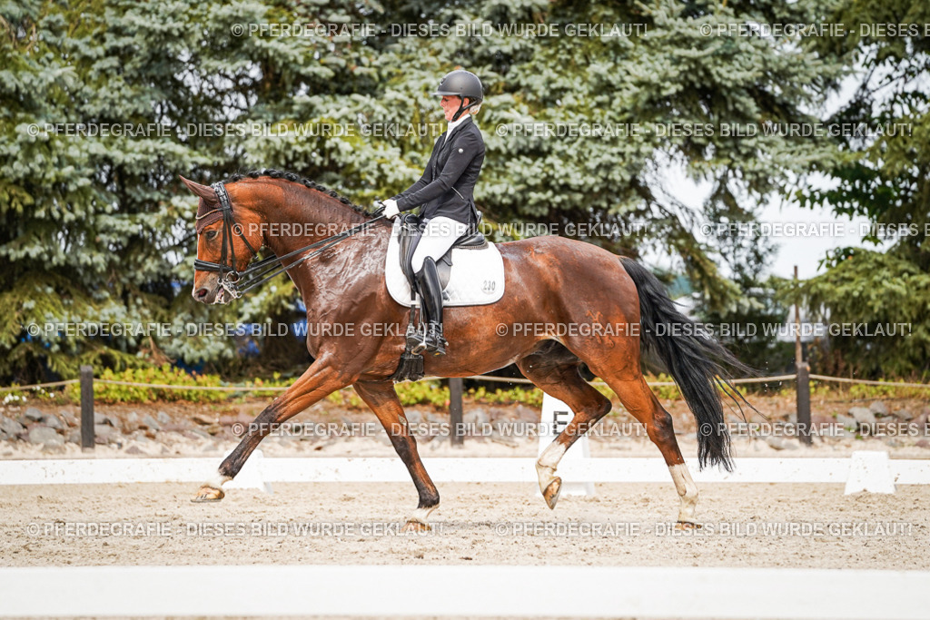 DSC06528 | Pferdegrafie