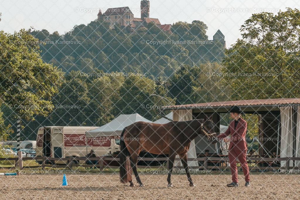 DSC02617 | ikphotography - Realisiert mit Pictrs.com