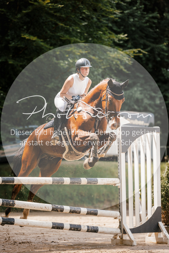 3I6A7832 | Stimmungsvolle Portraits und Reitsportfotografie im Ruhrgebiet und im Münsterland.

Pferdefotografie, Hundefotografie, Tierfotografie, Reportagen, Portraits von Tier und Mensch, Turnierfotografie in Bochum, Recklinghausen, Marl, Haltern am See, Dülmen.. - Realisiert mit Pictrs.com