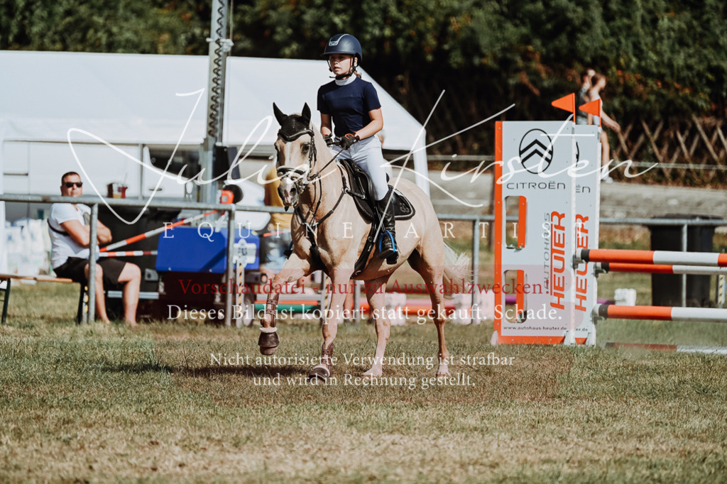 DSC_9341 | Pferde- und Turnierfotografie in Westsachsen. Pferdeportraits, Auftragszeichnungen und intuitive Kunst.