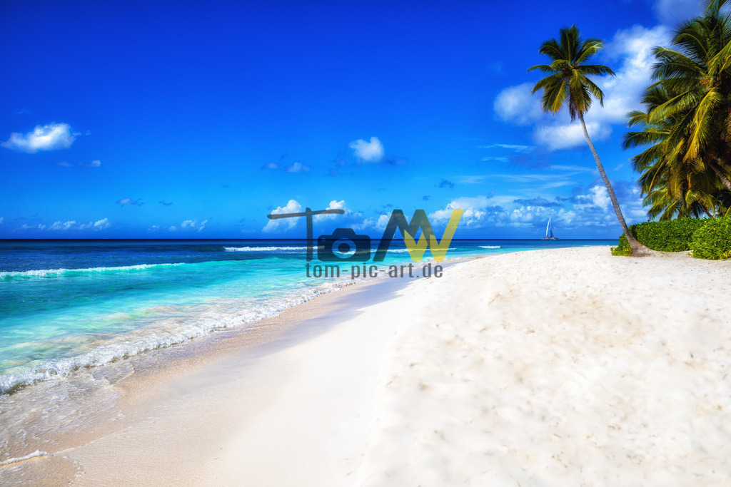 Strand mit Palmen auf einer karibischen Insel | Strandblick der karibik Insel Saona. Blaues Meer , feiner Sandstrand - ein TRaum - Realisiert mit Pictrs.com