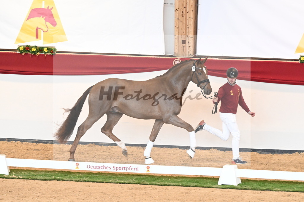 Kat.-Nr. 77 v. Vaderland_Schafhof_2240985 | hf-fotografie - Realisiert mit Pictrs.com