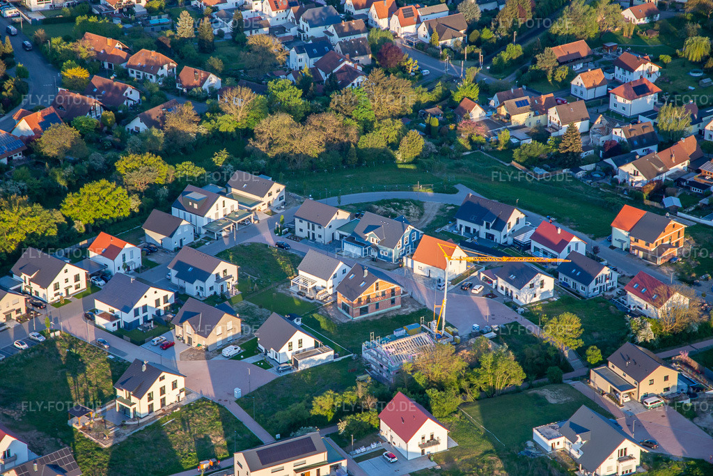 Luftbild: Flieder- und Rosenweg in Kandel im Bundesland Rheinland-Pfalz in Deutschland. Foto: IMG_140365.jpg vom 23.04.2024 durch Werner Riehm/FLY-FOTO.de