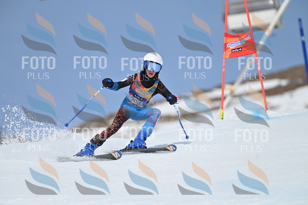 BGV_2624 | holidayphoto