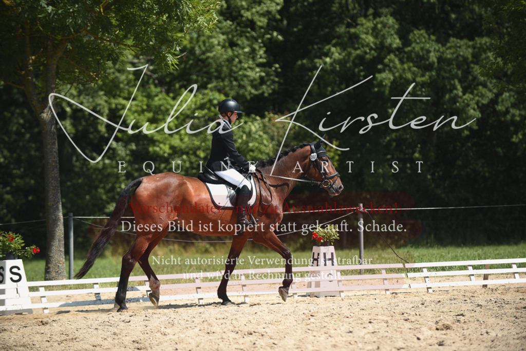 DSC_2259 | Pferde- und Turnierfotografie in Westsachsen. Pferdeportraits, Auftragszeichnungen und intuitive Kunst.