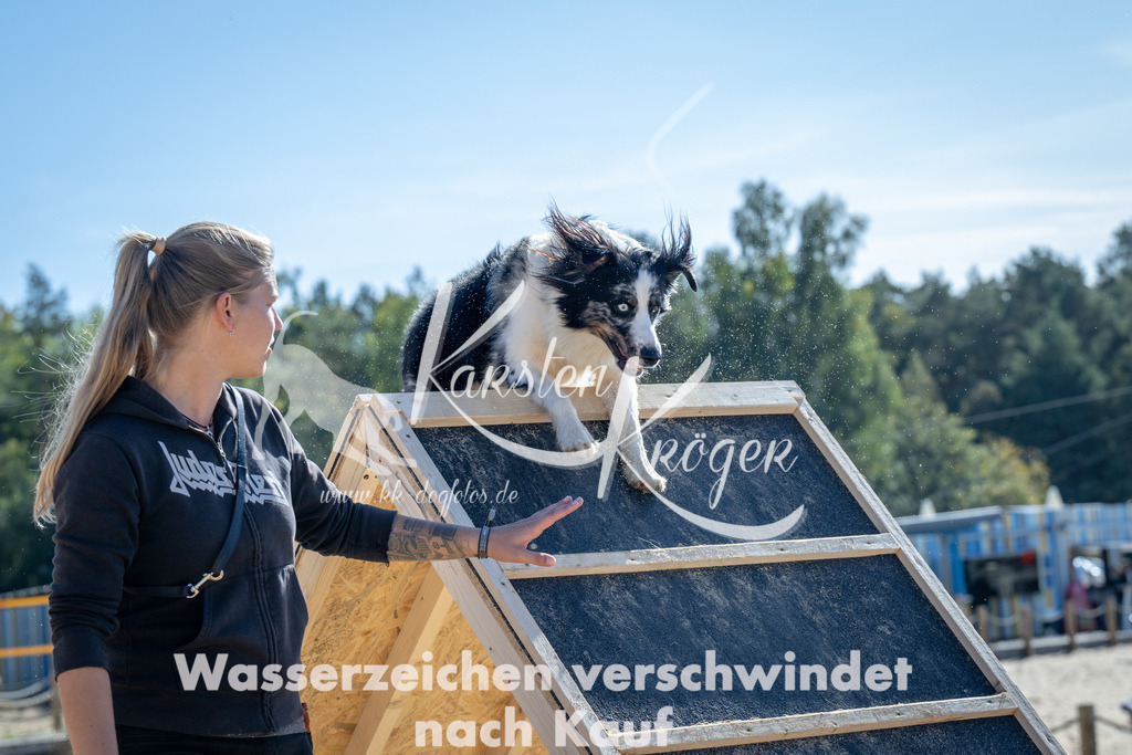 1258_ZZ93858-2 | kk-dogfotos