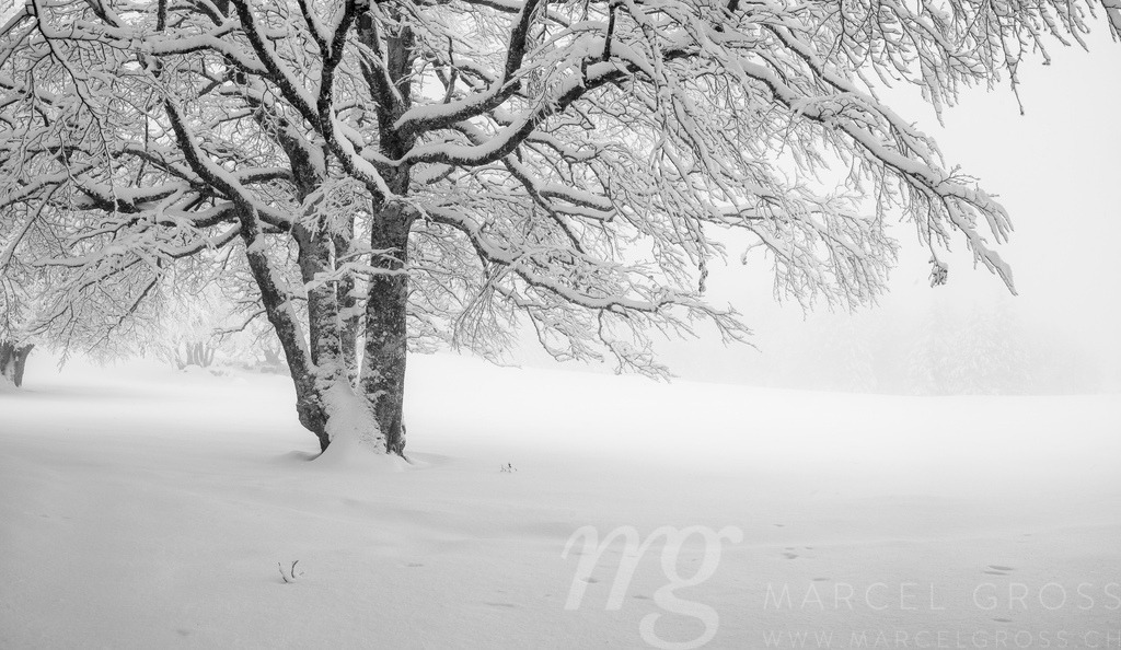 20231202-CreuxDuVan-0102-Pano | Die ideale Geschenkidee für Naturliebhaber. Naturbilder von Marcel Gross Photography für ihr Zuhause in den verschiedensten Formaten und Materialien. - Realisiert mit Pictrs.com