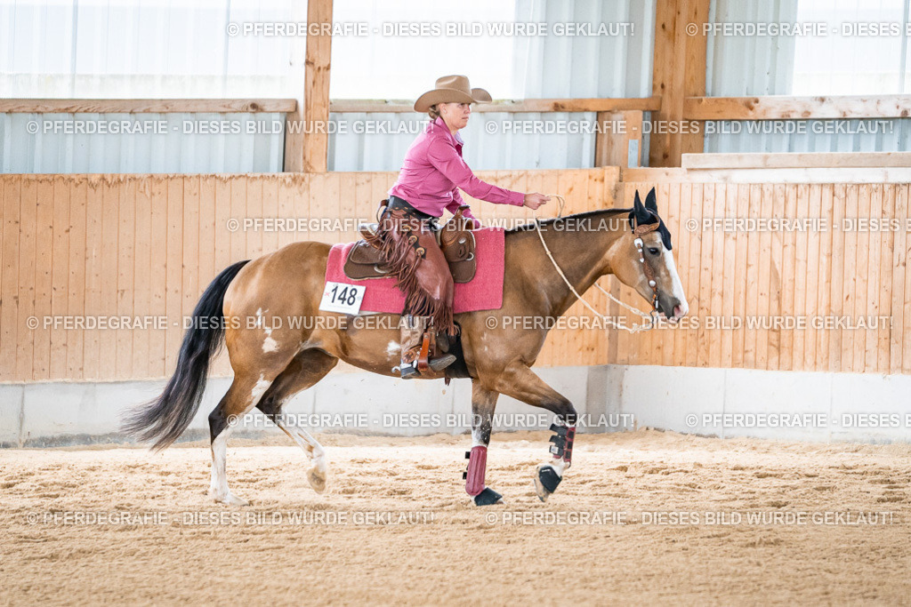 DSC08902 | Pferdegrafie