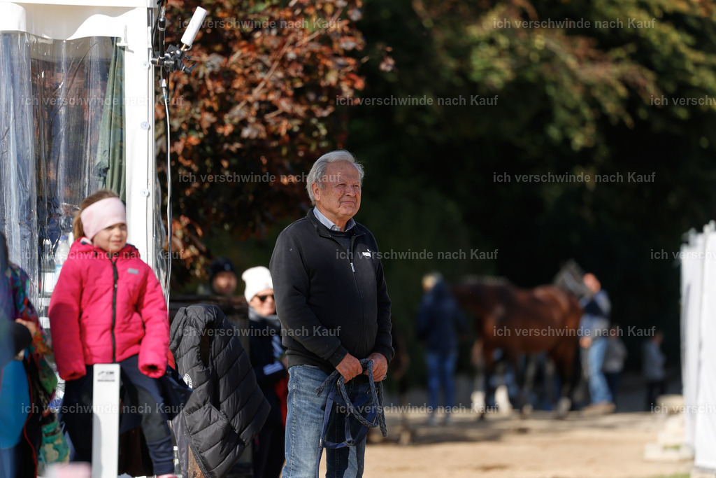 _AM19164 | working equitationturnier fotograf videograf stoibphotography marixx film working equitation deutschland reitsport turnierfotografie eventfotografie equestrian events