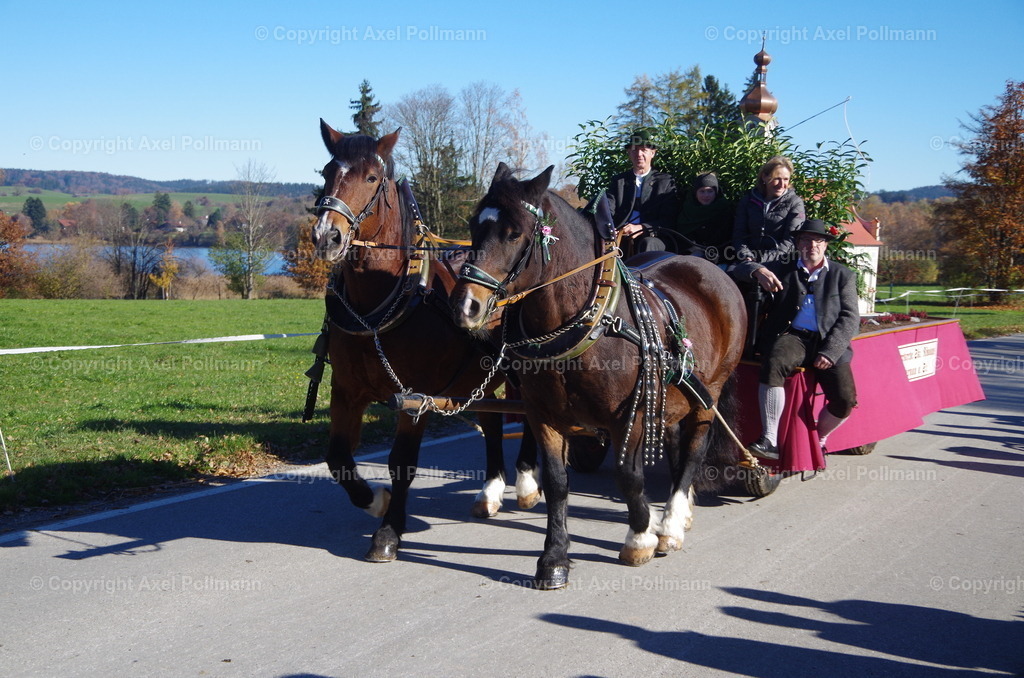 IMGP7870 | fotografiert von Axel PollmannLeonhardi Wallfahrt Benediktbeuern und Murnau, Fronleichnam, Fasching, Landschaft im Loisachtal und Benediktbeuern  - Realisiert mit Pictrs.com