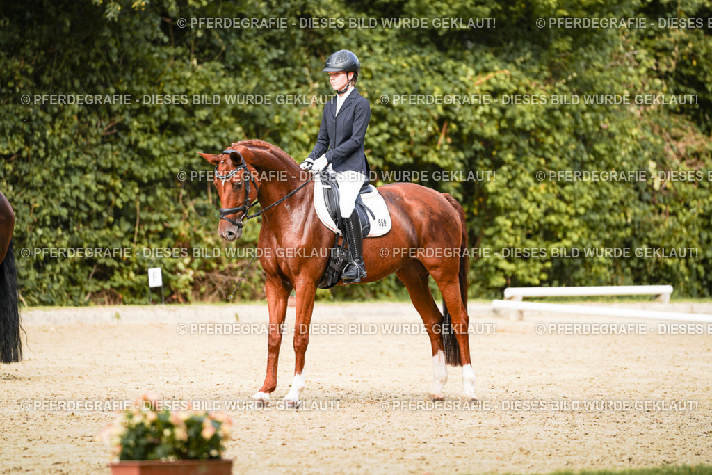 DSC03398 | Pferdegrafie